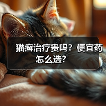 猫癣治疗贵吗?便宜药怎么选?(图4) 猫癣治疗贵吗?便宜药怎么选?(图4)