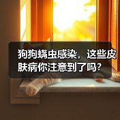 狗狗螨虫感染,这些皮肤病你注意到了吗?(图1) 狗狗螨虫感染,这些皮肤病你注意到了吗?(图1)
