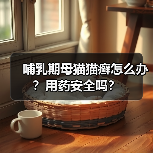 哺乳期母猫猫癣怎么办？用药安全吗？（图4）