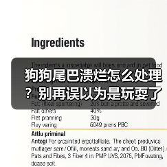 狗狗尾巴溃烂怎么处理？别再误以为是玩耍了（图3）