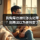 狗狗尾巴溃烂怎么处理？别再误以为是玩耍了（图4）