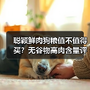 聪颖鲜肉狗粮值不值得买?无谷物高肉含量评测解析(图4) 聪颖鲜肉狗粮值不值得买?无谷物高肉含量评测解析(图4)