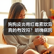 狗狗皮炎用红霉素软膏真的有效吗?明确病因最关键(图2) 狗狗皮炎用红霉素软膏真的有效吗?明确病因最关键(图2)