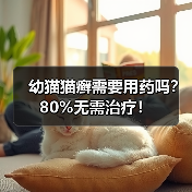 幼猫猫癣需要用药吗?80%无需治疗!(图3) 幼猫猫癣需要用药吗?80%无需治疗!(图3)