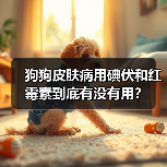 狗狗皮肤病用碘伏和红霉素到底有没有用?(图1) 狗狗皮肤病用碘伏和红霉素到底有没有用?(图1)