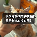 狗狗皮肤病用碘伏和红霉素到底有没有用?(图3) 狗狗皮肤病用碘伏和红霉素到底有没有用?(图3)