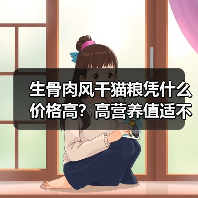 生骨肉风干猫粮凭什么价格高?高营养值适不适合老年猫?(图3) 生骨肉风干猫粮凭什么价格高?高营养值适不适合老年猫?(图3)