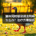 猫咪同时感染螨虫和癣怎么办?治疗方案解析(图3) 猫咪同时感染螨虫和癣怎么办?治疗方案解析(图3)
