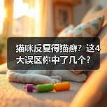 猫咪反复得猫癣?这4大误区你中了几个?(图3) 猫咪反复得猫癣?这4大误区你中了几个?(图3)