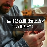 猫咪结痂脱毛怎么办?千万别乱抠!(图2) 猫咪结痂脱毛怎么办?千万别乱抠!(图2)
