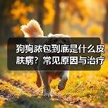 狗狗脓包到底是什么皮肤病?常见原因与治疗全解析(图3) 狗狗脓包到底是什么皮肤病?常见原因与治疗全解析(图3)