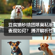 豆腐猫砂结团除臭粘底表现如何？测评解析性价比高不？（图2）