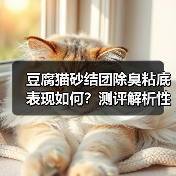 豆腐猫砂结团除臭粘底表现如何？测评解析性价比高不？（图4）