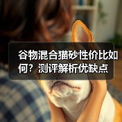 谷物混合猫砂性价比如何?测评解析优缺点(图2) 谷物混合猫砂性价比如何?测评解析优缺点(图2)