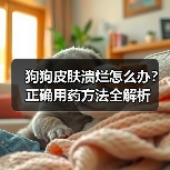 狗狗皮肤溃烂怎么办?正确用药方法全解析(图2) 狗狗皮肤溃烂怎么办?正确用药方法全解析(图2)