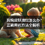 狗狗皮肤溃烂怎么办？正确用药方法全解析