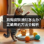 狗狗皮肤溃烂怎么办?正确用药方法全解析(图3) 狗狗皮肤溃烂怎么办?正确用药方法全解析(图3)