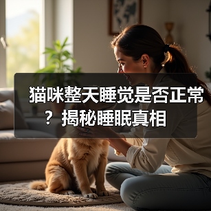 猫咪整天睡觉是否正常？揭秘睡眠真相（图4）