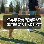 红霉素软膏治猫皮炎？滥用危害大！你中招了吗？