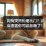 狗狗突然拒绝出门？这些原因你可能忽略了！