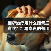 猫癣治疗用什么药膏最有效?红霉素真的有用吗?(图2) 猫癣治疗用什么药膏最有效?红霉素真的有用吗?(图2)