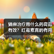 猫癣治疗用什么药膏最有效？红霉素真的有用吗？