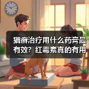 猫癣治疗用什么药膏最有效?红霉素真的有用吗?(图4) 猫癣治疗用什么药膏最有效?红霉素真的有用吗?(图4)