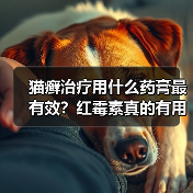 猫癣治疗用什么药膏最有效?红霉素真的有用吗?(图3) 猫癣治疗用什么药膏最有效?红霉素真的有用吗?(图3)