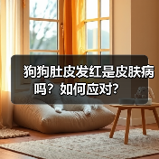 狗狗肚皮发红是皮肤病吗?如何应对?(图2) 狗狗肚皮发红是皮肤病吗?如何应对?(图2)