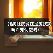 狗狗肚皮发红是皮肤病吗?如何应对?(图4) 狗狗肚皮发红是皮肤病吗?如何应对?(图4)