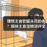 理想主食软罐头真的香？猫咪主食湿粮测评全解析（图2）