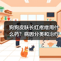 狗狗皮肤长红疙瘩用什么药？病因分类和治疗方案