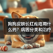 狗狗皮肤长红疙瘩用什么药?病因分类和治疗方案(图2) 狗狗皮肤长红疙瘩用什么药?病因分类和治疗方案(图2)