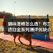 猫咪湿粮怎么选？布兰德白金系列测评优缺点全解析