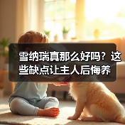 雪纳瑞真那么好吗？这些缺点让主人后悔养（图3）