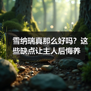 雪纳瑞真那么好吗？这些缺点让主人后悔养（图4）