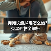 狗狗长癣掉毛怎么治?克星药物全解析(图2) 狗狗长癣掉毛怎么治?克星药物全解析(图2)