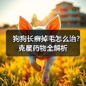 狗狗长癣掉毛怎么治?克星药物全解析(图3) 狗狗长癣掉毛怎么治?克星药物全解析(图3)