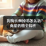 狗狗长癣掉毛怎么治?克星药物全解析(图4) 狗狗长癣掉毛怎么治?克星药物全解析(图4)