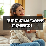 狗狗咬裤腿背后的原因你都知道吗？