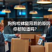 狗狗咬裤腿背后的原因你都知道吗？（图2）