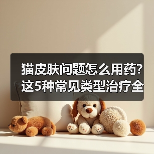 猫皮肤问题怎么用药?这5种常见类型治疗全解析(图2) 猫皮肤问题怎么用药?这5种常见类型治疗全解析(图2)
