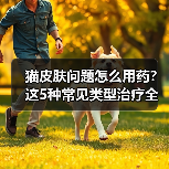 猫皮肤问题怎么用药?这5种常见类型治疗全解析(图3) 猫皮肤问题怎么用药?这5种常见类型治疗全解析(图3)