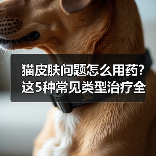 猫皮肤问题怎么用药?这5种常见类型治疗全解析(图4) 猫皮肤问题怎么用药?这5种常见类型治疗全解析(图4)