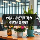 养猫不能只图便宜，猫砂选错更费钱！（图4）