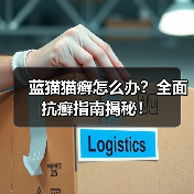 蓝猫猫癣怎么办？全面抗癣指南揭秘！