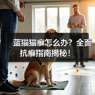 蓝猫猫癣怎么办?全面抗癣指南揭秘!(图3) 蓝猫猫癣怎么办?全面抗癣指南揭秘!(图3)