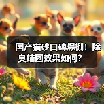 国产猫砂口碑爆棚！除臭结团效果如何？（图2）