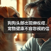 狗狗头部出现癣疙瘩,宠物健康不容忽视的信号(图4) 狗狗头部出现癣疙瘩,宠物健康不容忽视的信号(图4)