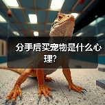 分手后买宠物是什么心理?(图3) 分手后买宠物是什么心理?(图3)